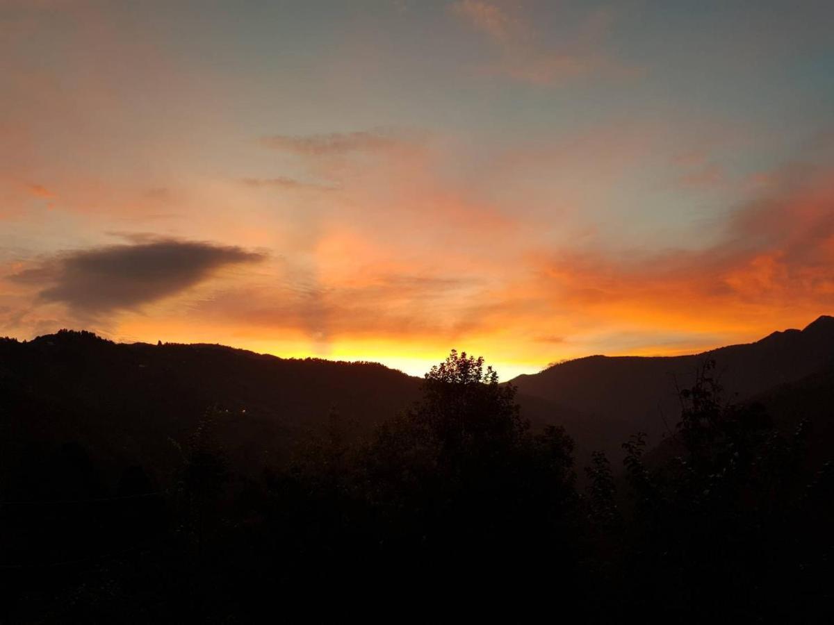 Lala Mountain Homestay‧Cile Farm Hualing Esterno foto