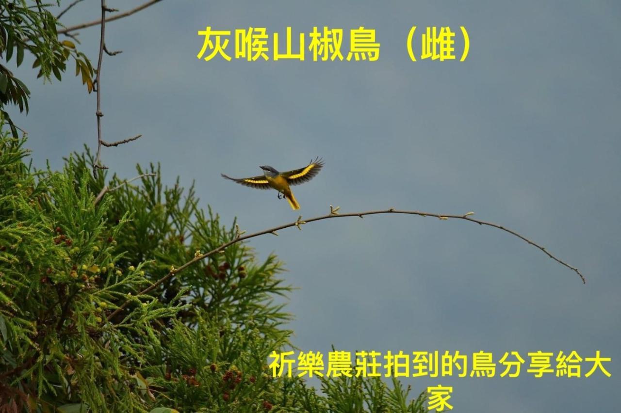 Lala Mountain Homestay‧Cile Farm Hualing Esterno foto