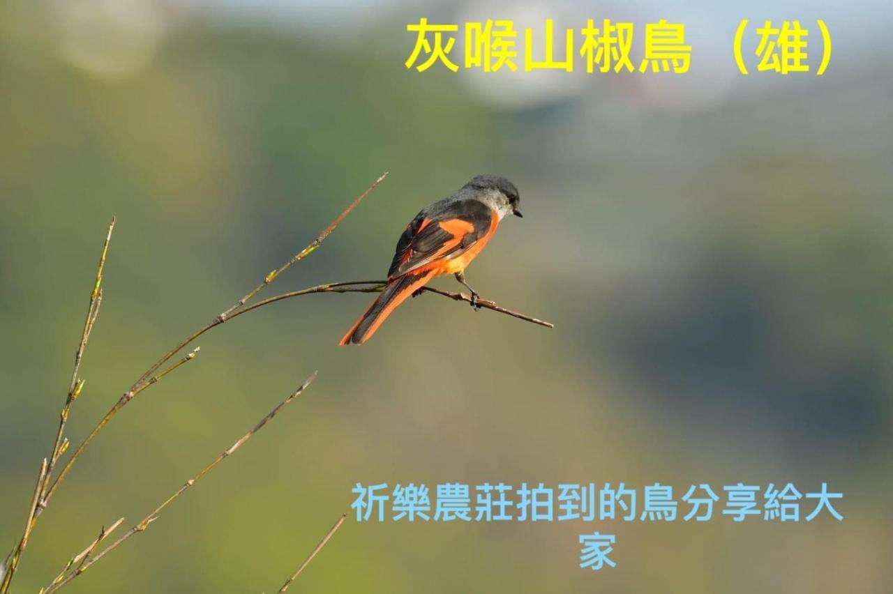 Lala Mountain Homestay‧Cile Farm Hualing Esterno foto