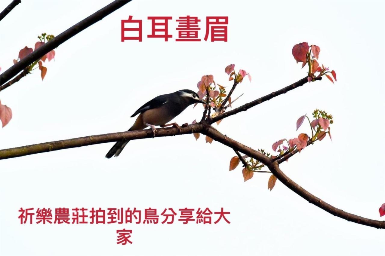 Lala Mountain Homestay‧Cile Farm Hualing Esterno foto