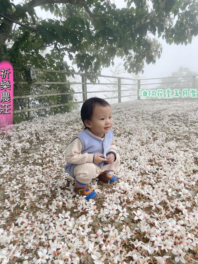 Lala Mountain Homestay‧Cile Farm Hualing Esterno foto