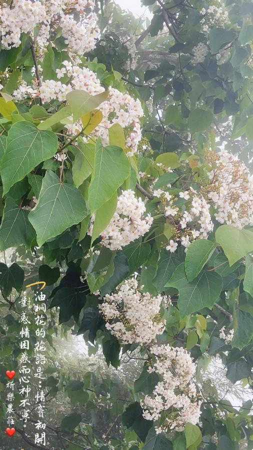 Lala Mountain Homestay‧Cile Farm Hualing Esterno foto